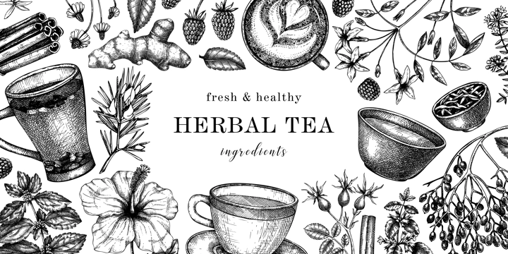 Hand drawn tea drinks ingredients banner in color. Vector sketches of hot beverage cups, herbs, flowers, fruits vintage background. Herbal tea design for cafe or restaurant menu, banners, web.